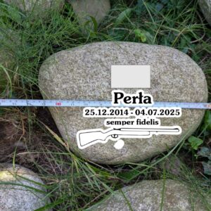 Zgodnie z projektem Perła