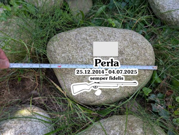 Zgodnie z projektem Perła