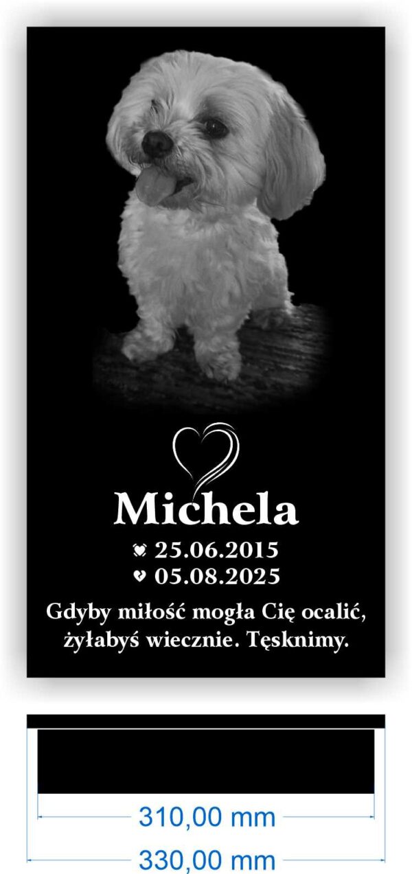 Zgodnie z projektem Michela