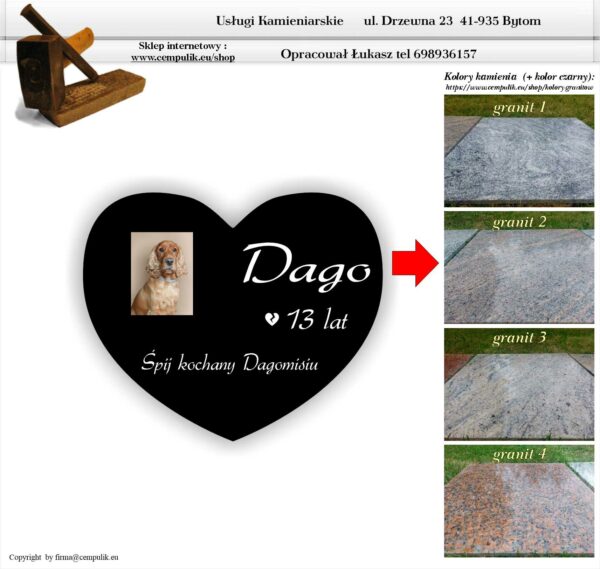 Zgodnie z projektem Dago
