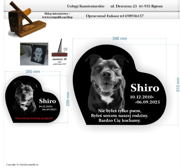 Zgodnie z projektem Shiro