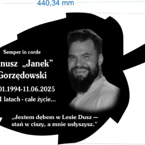 Zgodnie z projektem lisc