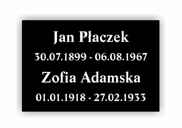 Płyta zgodnie z projektem 30x20