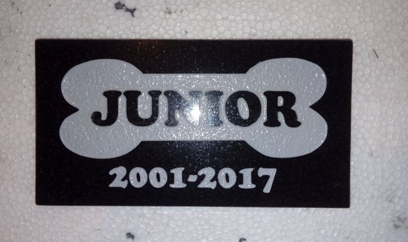 Płyta granitowa dla psa o imieniu Junior